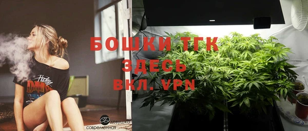 mdpv Новозыбков
