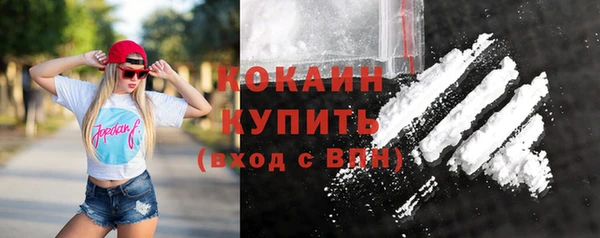 mdpv Новозыбков